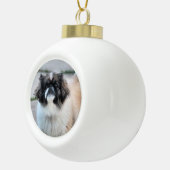 Shih Tzu Keramik Kugel-Ornament (Rechts)