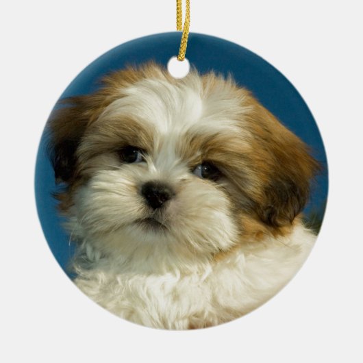 Shih Tzu Keramik Ornament (Vorne)