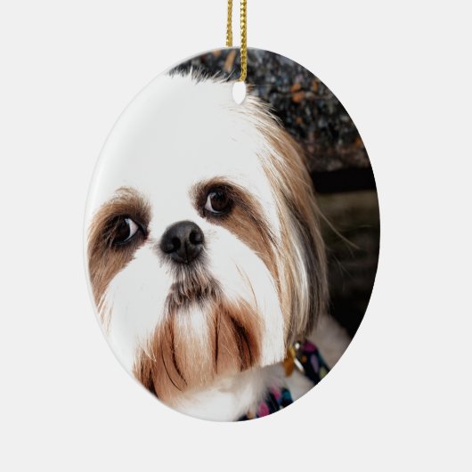 Shih Tzu Keramik Ornament (Rechts)