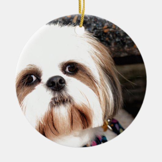 Shih Tzu Keramik Ornament (Vorne)