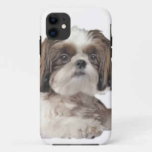 Shih Tzu-Kutte Case-Mate iPhone Hülle