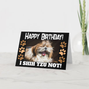 Shih Tzu lacht nicht lustig Alles Gute zum Geburts Karte