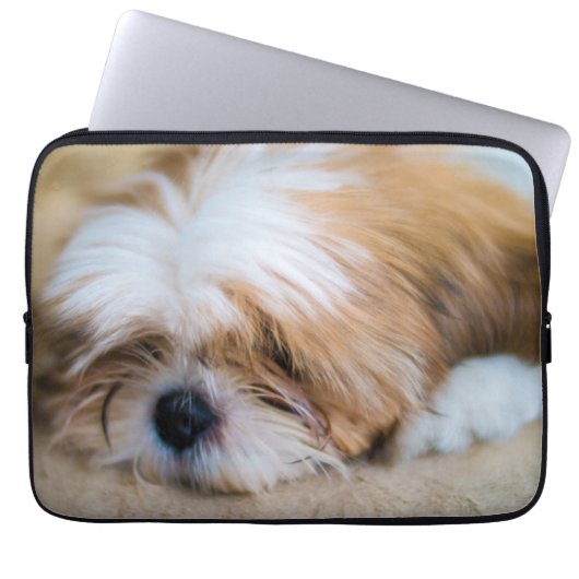 Shih Tzu Laptopschutzhülle (Vorderseite)