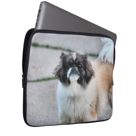 Shih Tzu Laptopschutzhülle (Vorne Rechts)