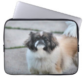 Shih Tzu Laptopschutzhülle (Vorderseite)