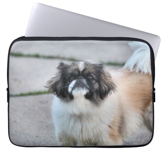 Shih Tzu Laptopschutzhülle (Vorderseite)