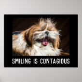 Shih tzu laughing smile customize photo text  poster (Vorne)