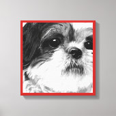 Shih Tzu Leinwanddruck (Vorderseite)