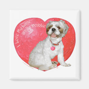 Shih Tzu / Lhasa Apso Valentinstag Magnet
