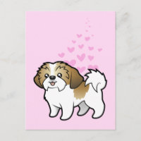 Shih Tzu Liebe (Welpenschnitt)