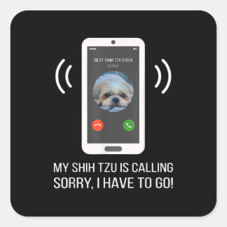 Shih Tzu Lover | Funny Shih Tzu Dog Quadratischer Aufkleber