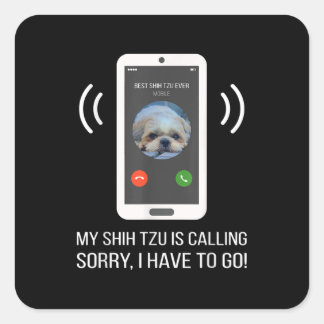 Shih Tzu Lover | Funny Shih Tzu Dog Quadratischer Aufkleber