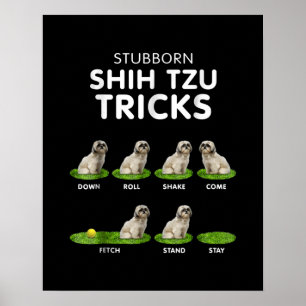 Shih Tzu Lover   Funny Shih Tzu Trick Dog Liebe Poster