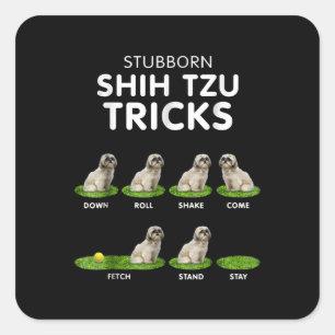 Shih Tzu Lover   Funny Shih Tzu Trick Dog Liebe Quadratischer Aufkleber