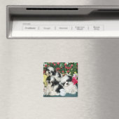 Shih Tzu Magnet (In Situ (Geschirrspüler))