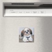 Shih Tzu Magnet (In Situ (Geschirrspüler))