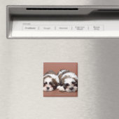 Shih Tzu Magnet (In Situ (Geschirrspüler))