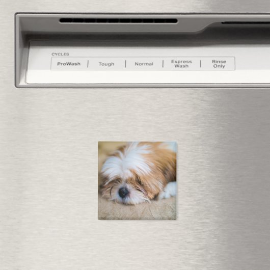 Shih Tzu Magnet (In Situ (Geschirrspüler))