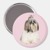 Shih Tzu Magnet (Vorderseite/Rückseite)