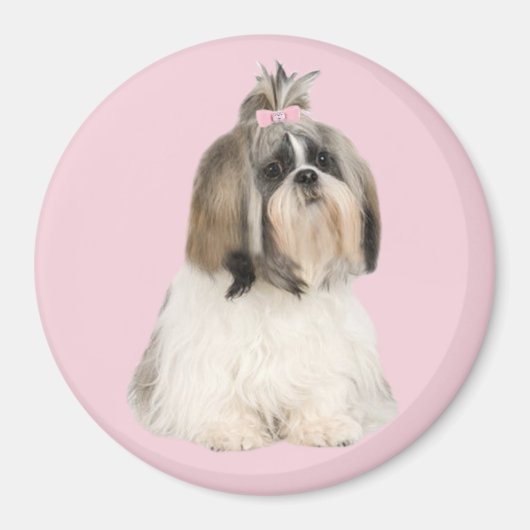 Shih Tzu Magnet (Vorne)