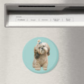 Shih Tzu Magnet (In Situ (Geschirrspüler))