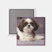 Shih-Tzu Magnet 2 (Vorderseite/Rückseite)