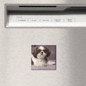 Shih-Tzu Magnet 2 (In Situ (Geschirrspüler))