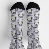 Shih Tzu Malerei Schwarz & Weiß Original Dog Art Socken (Oben)