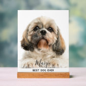 Shih Tzu Mama Personalisiert Pet Dog Foto Acrylschild (Neutral)