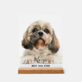 Shih Tzu Mama Personalisiert Pet Dog Foto Acrylschild (Vorderseite)