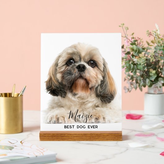 Shih Tzu Mama Personalisiert Pet Dog Foto Acrylschild (Hochzeit)