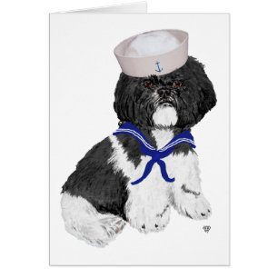 Shih Tzu Matrose