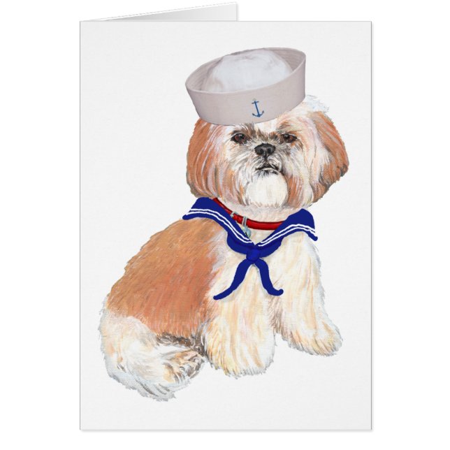 Shih Tzu Matrose (Vorne)