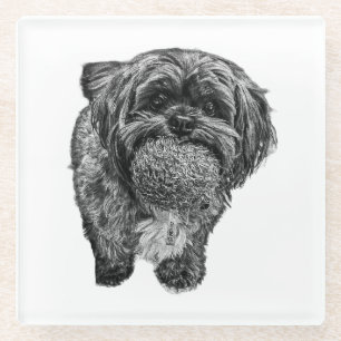 Shih Tzu mit Ball   Hunde-Kunst-Unterlage Glasuntersetzer