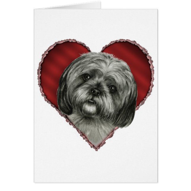 Shih Tzu mit Herzen (Vorne)