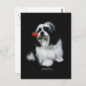 Shih Tzu mit Rose Postkarte (Vorne/Hinten)