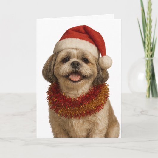 Shih Tzu mit Weihnachtsmannmütze Weihnachtskarte Karte (Vorderseite)