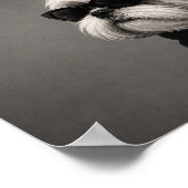 Shih Tzu Mode-Editorial-Hunde-Kunstprint Poster (Ecke)