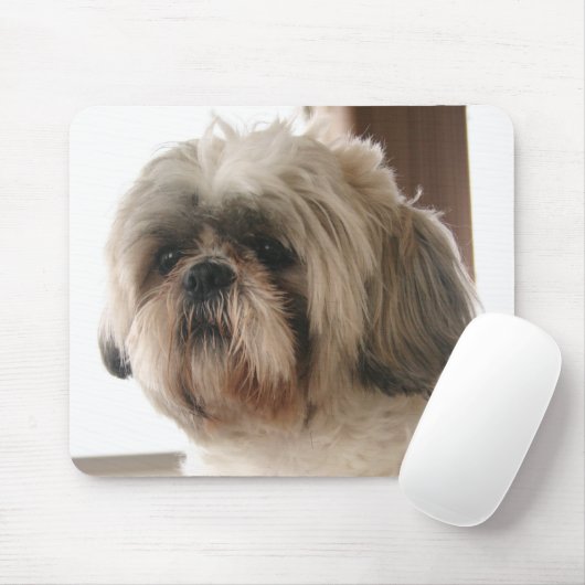 Shih Tzu Mousepad (Mit Mouse)