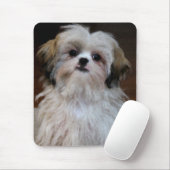 Shih Tzu Mousepad (Mit Mouse)