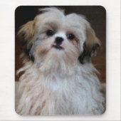Shih Tzu Mousepad (Vorne)