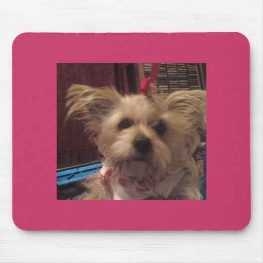 Shih Tzu Mousepad (Vorne)