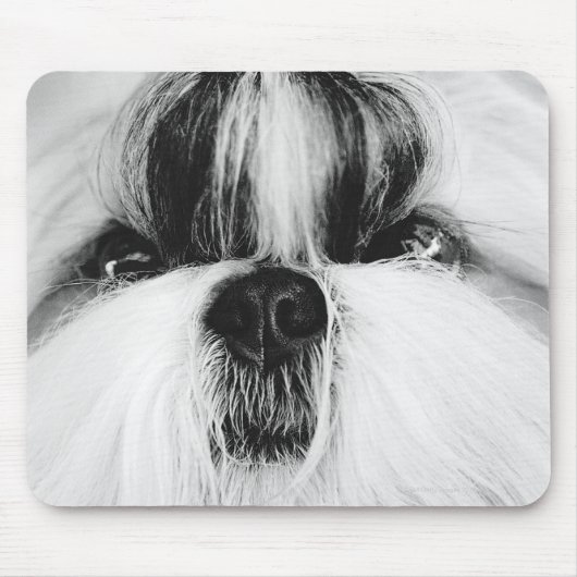 Shih Tzu Mousepad (Vorne)