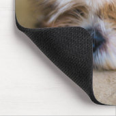 Shih Tzu Mousepad (Ecke)
