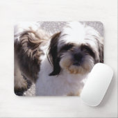 Shih-Tzu Mousepad (Mit Mouse)