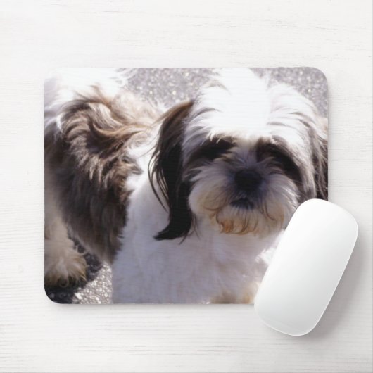 Shih-Tzu Mousepad (Mit Mouse)