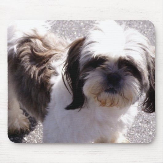 Shih-Tzu Mousepad (Vorne)
