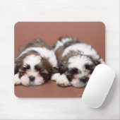 Shih Tzu Mousepad (Mit Mouse)