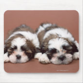 Shih Tzu Mousepad (Vorne)
