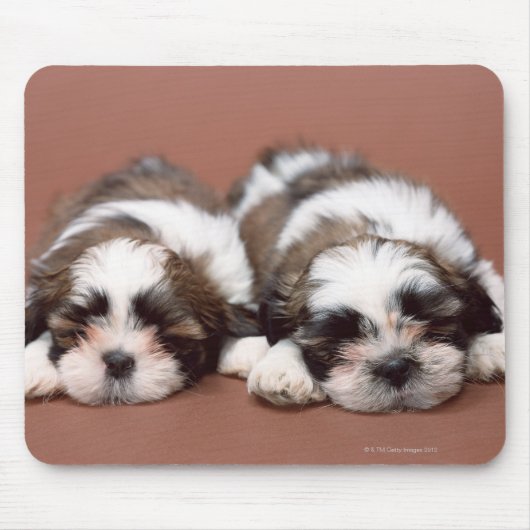 Shih Tzu Mousepad (Vorne)